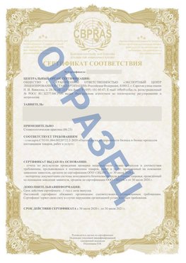 Образец Сертификат СТО 01.064.00220722.2-2020 Челябинск Сертификат СТО 01.064.00220722.2-2020 